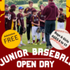 Baseball Open Day Flyer - clip