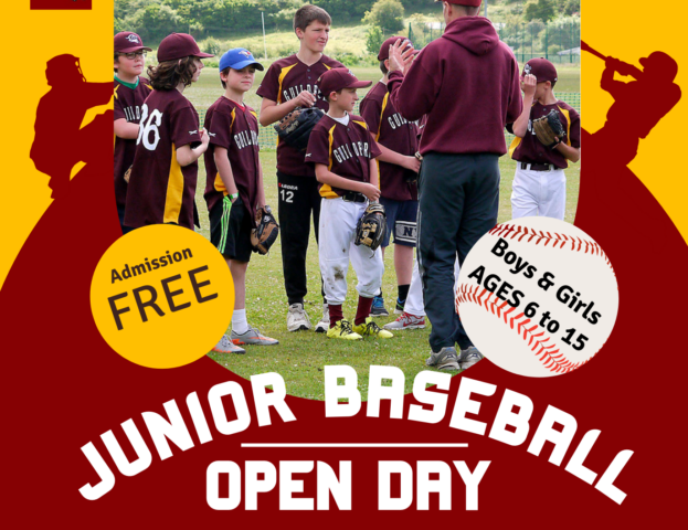 Baseball Open Day Flyer - clip