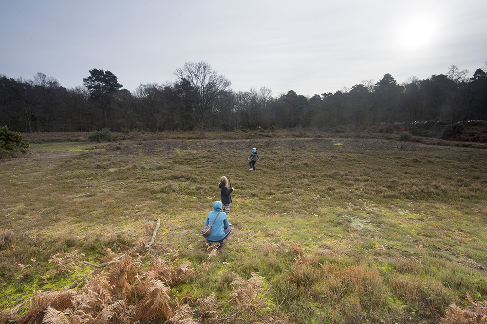 baseball on witley common_9733