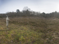 babe ruth at witley common