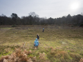 baseball on witley common_9733