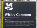 witley common_9717