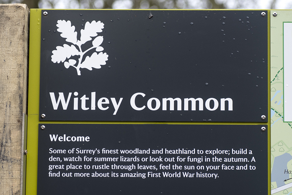 witley common_9717