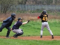 limn-at-bat