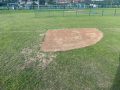 7-First-base-grass-damage-01-Large