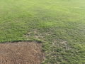 7-First-base-grass-damage-02-Large