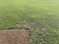 7-First-base-grass-damage-02-Large