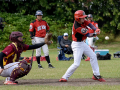 bunting_1704