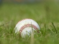 baseball_6589