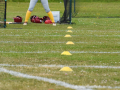 DSC_1471