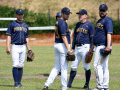 south-coast-infield_1415