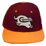 Mavericks Baseball Cap