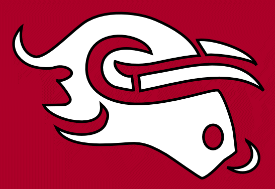 mavericks logo white on cardinal - 300